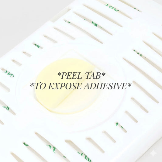 Korean Refrigerator Deodorizer - Refrigerator Odor Absorber / Eliminator