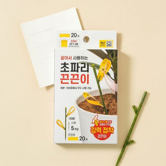 Korean Fruit Fly Sticky Traps Plants Yellow Sticky Bug Traps