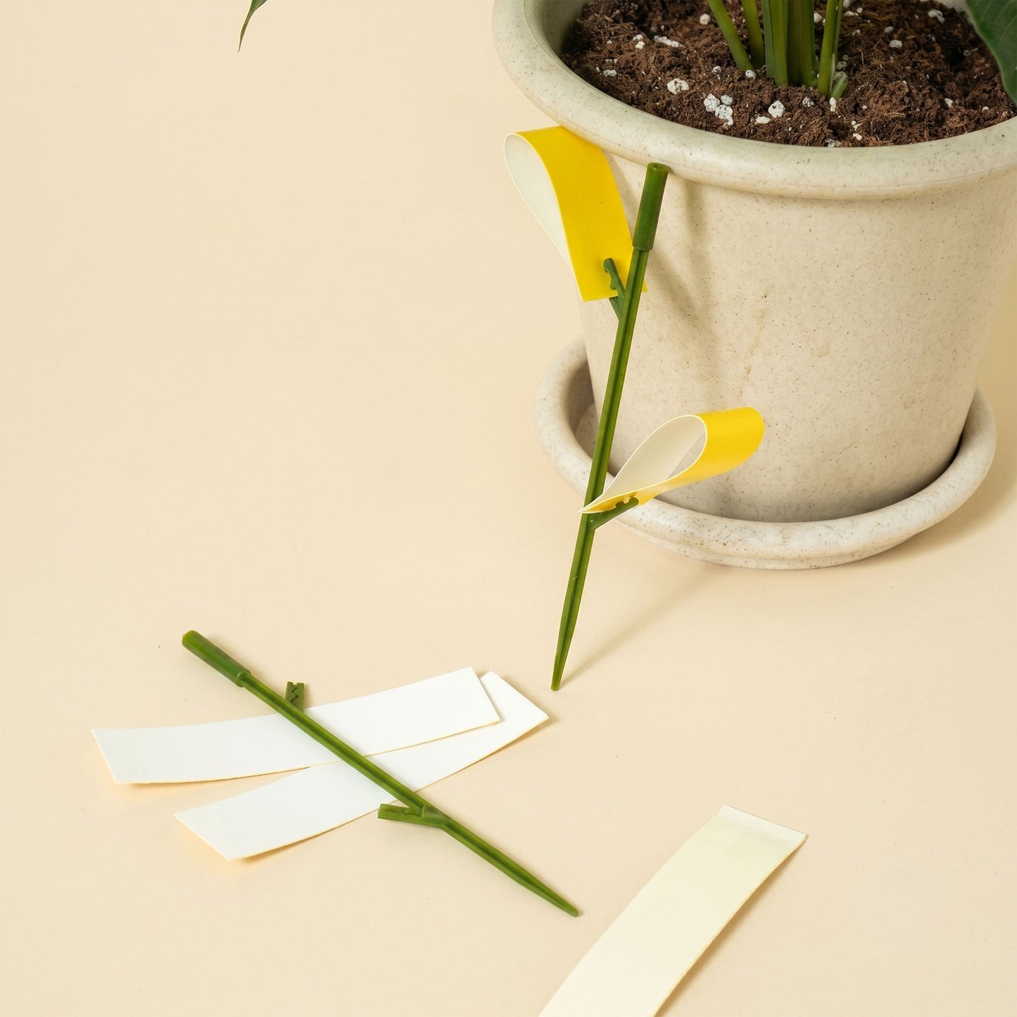 Korean Fruit Fly Sticky Traps Plants Yellow Sticky Bug Traps