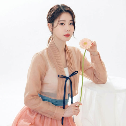 Korean Floral Blouse. Azure Moon Sheer Organza Hanbok Jeogori